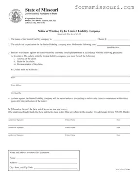 Llc 13 Missouri Form