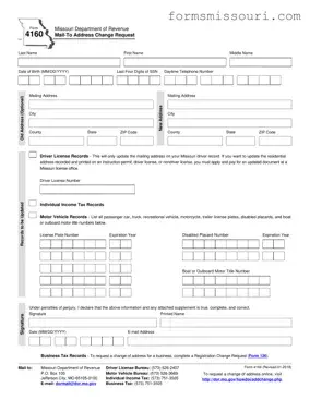 Missouri 4160 Form